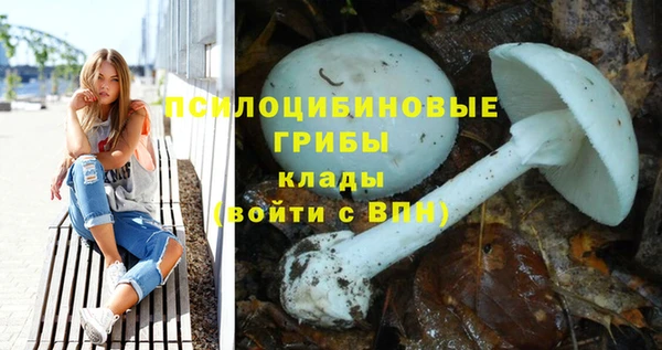 прущая мука Богородицк