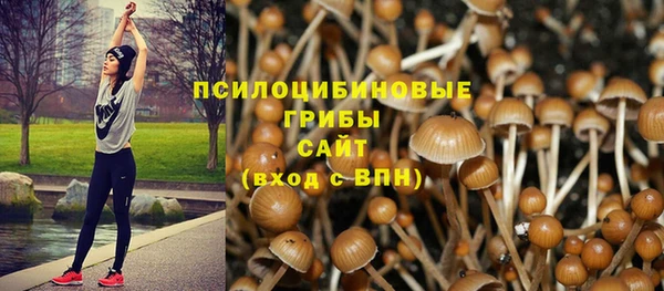 гашиш Богданович