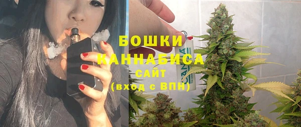 гашиш Богданович