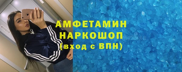 гашиш Богданович